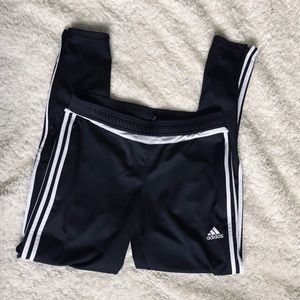 Adidas Track Pant